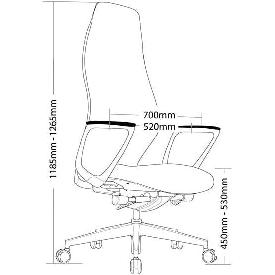 Assist Synchron Mechanism Executive Chair