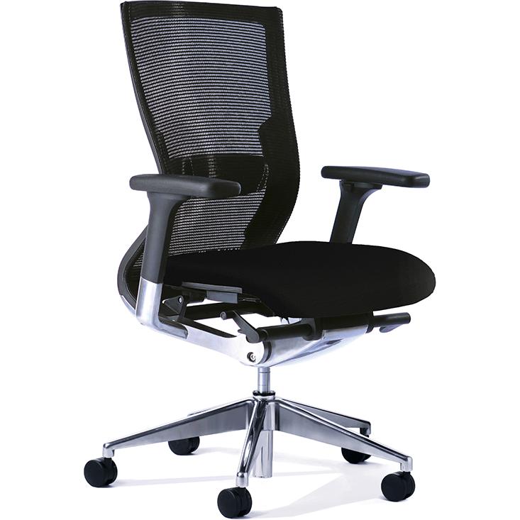 Balance Executive Chair with Arms & Lumbar