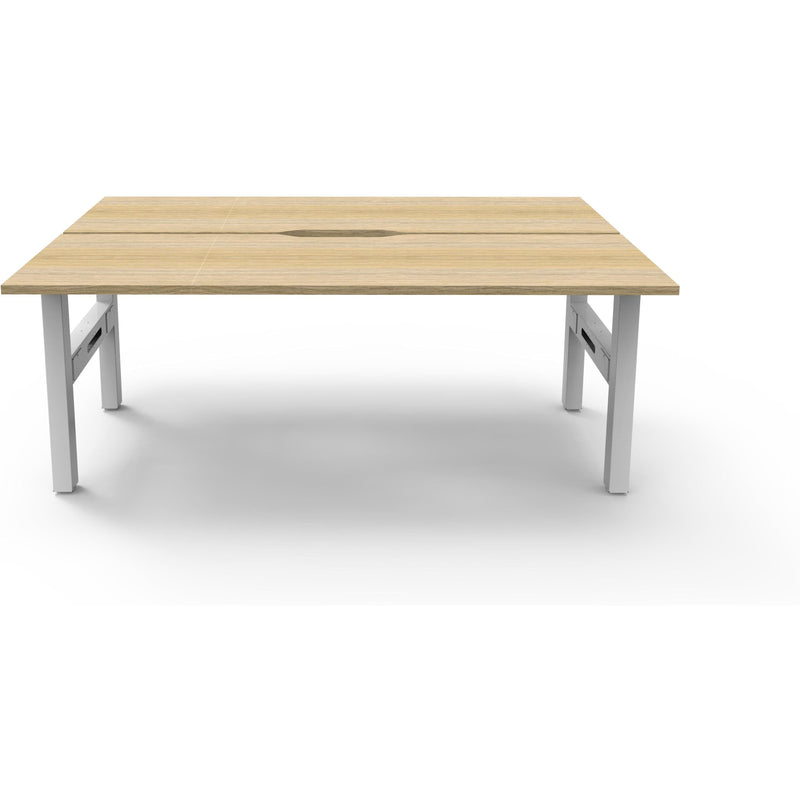 Boost Static Back to Back Workstation