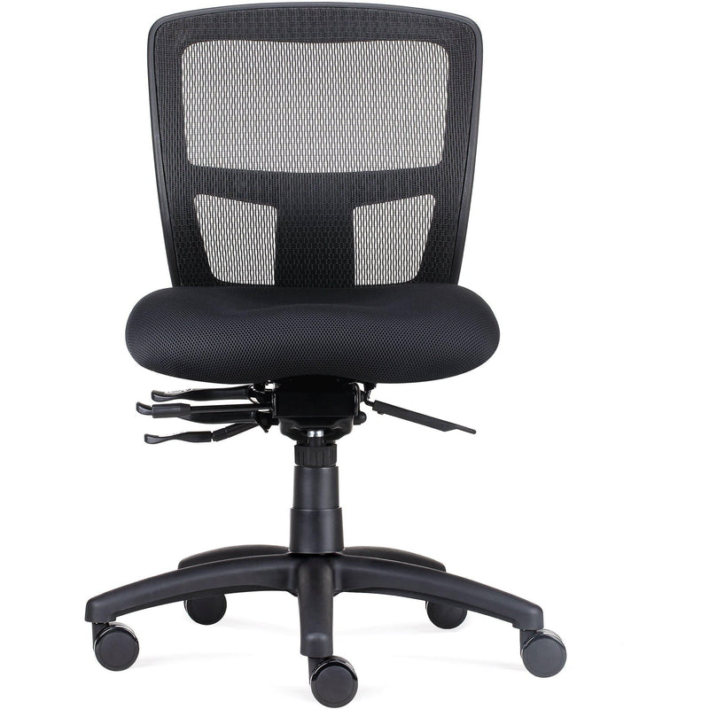 Ergo Task Chair