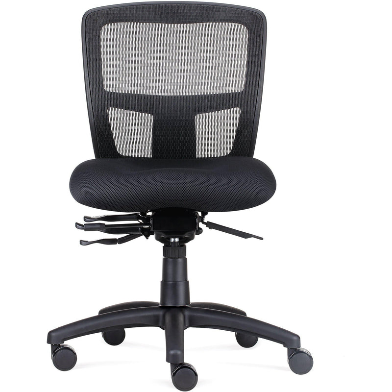 Ergo Task Chair