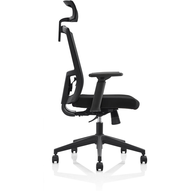 Florida Ergo Chair (Black Friday Special)