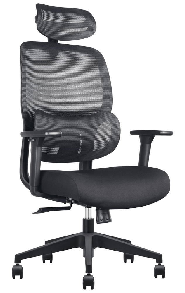 Elvaro Ergo Mesh Office Chair