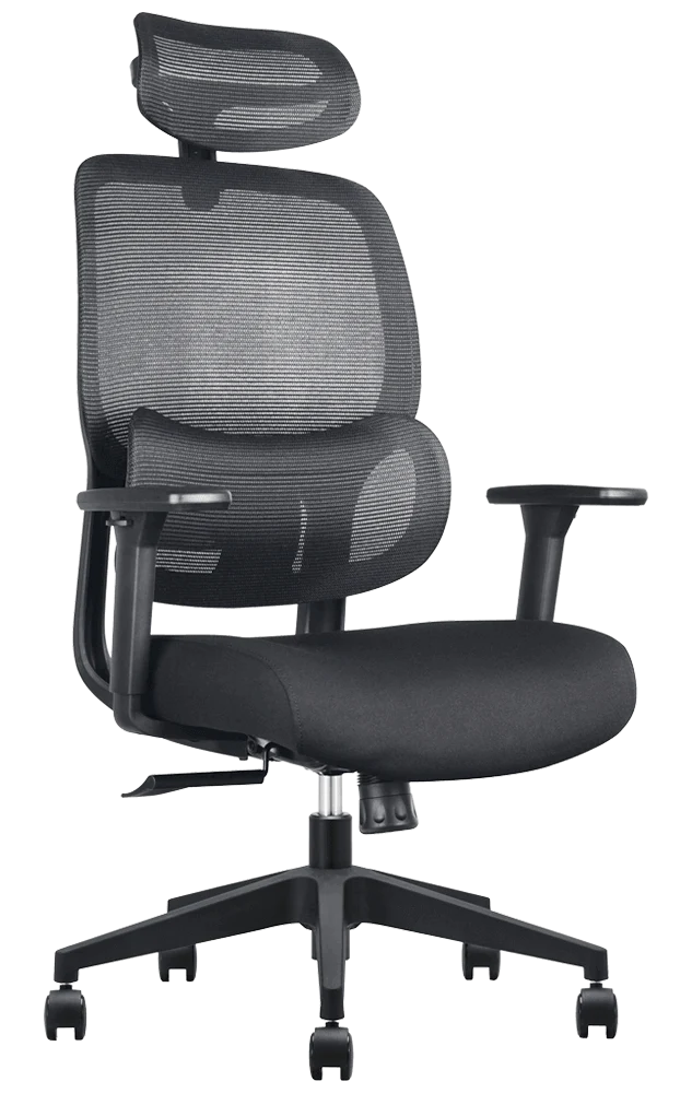 Elvaro Ergo Mesh Office Chair