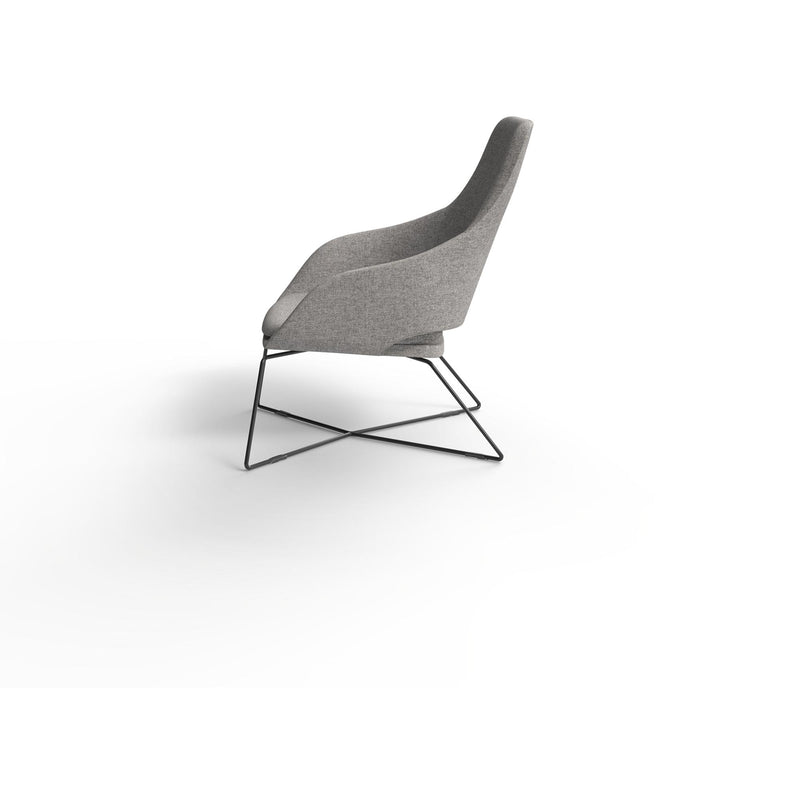 Elaro Lounge Chair