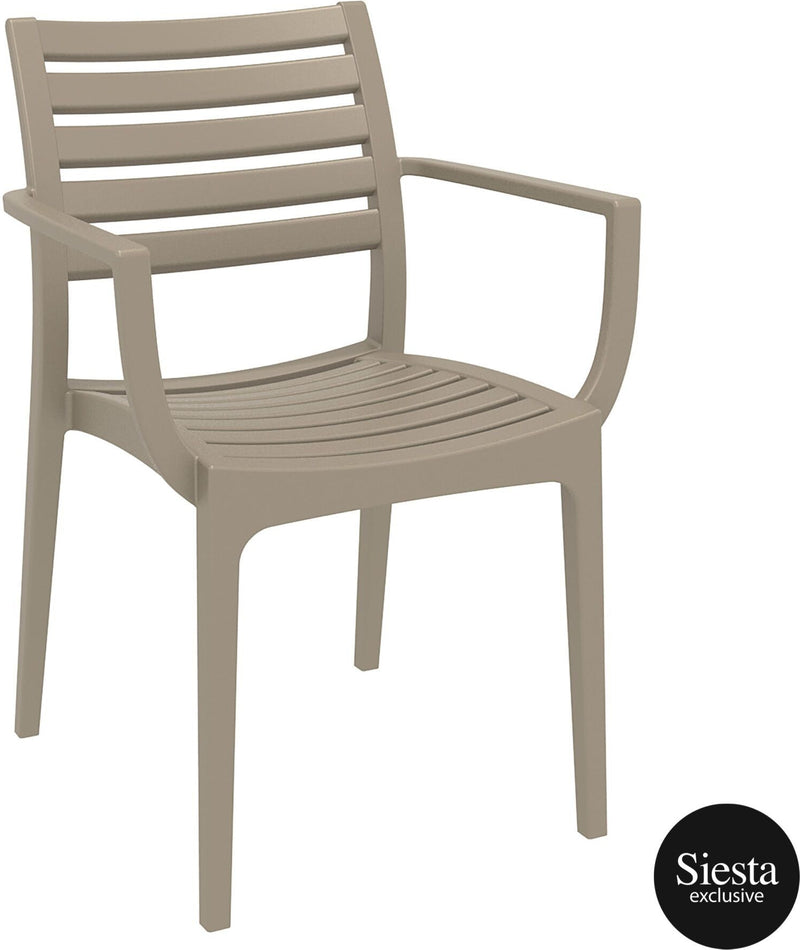 Ares 5 Piece Outdoor Dining Set with Artemis Armchair