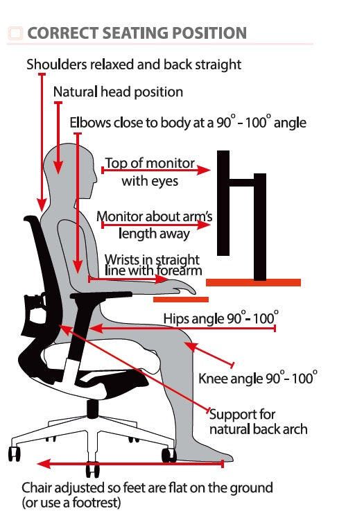 Ergonomics & Back Pain
