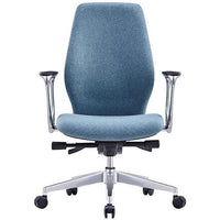 Assist Synchron Mechanism Executive Chair