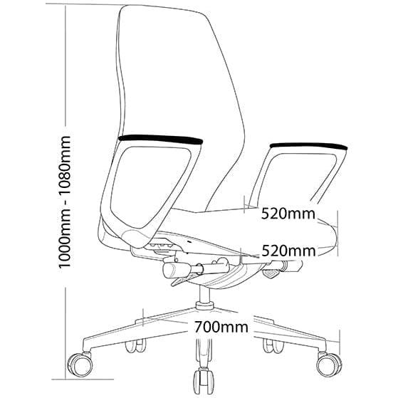 Assist Synchron Mechanism Executive Chair