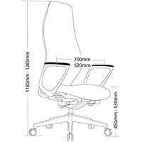 Assist Synchron Mechanism Executive Chair