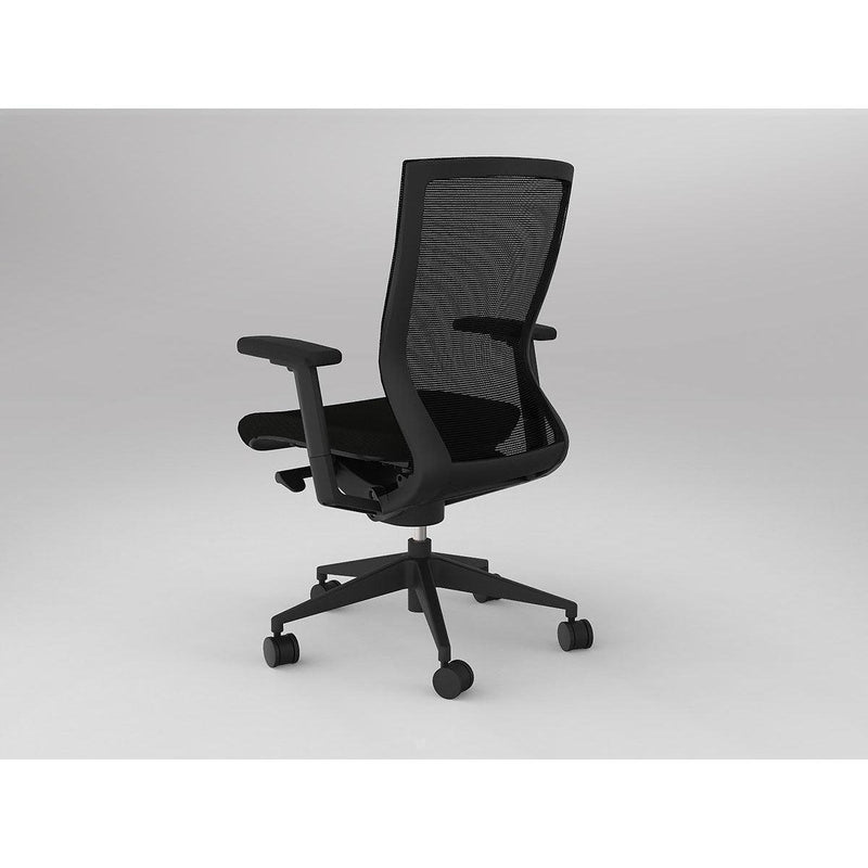 Balance Project Chair with Arms