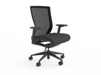 Balance Project Chair with Arms