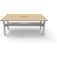 Boost Static Back to Back Workstation