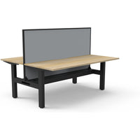 Boost Static Back to Back Workstation