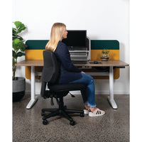 Buro Roma 3 Lever - Mid Back 180kg