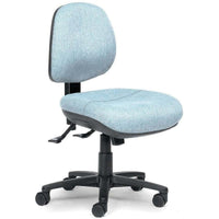 Delta Plus Comfort Duo Chair