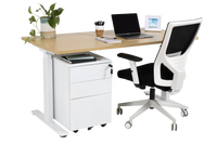 Summit Plus 2024 Electrical Standing Desk