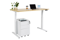 Summit Plus 2024 Electrical Standing Desk