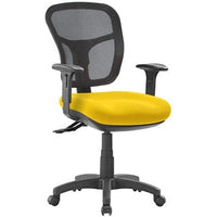 Ecotech 2 Lever Mesh Back Task Chair