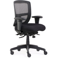 Ergo Task Chair