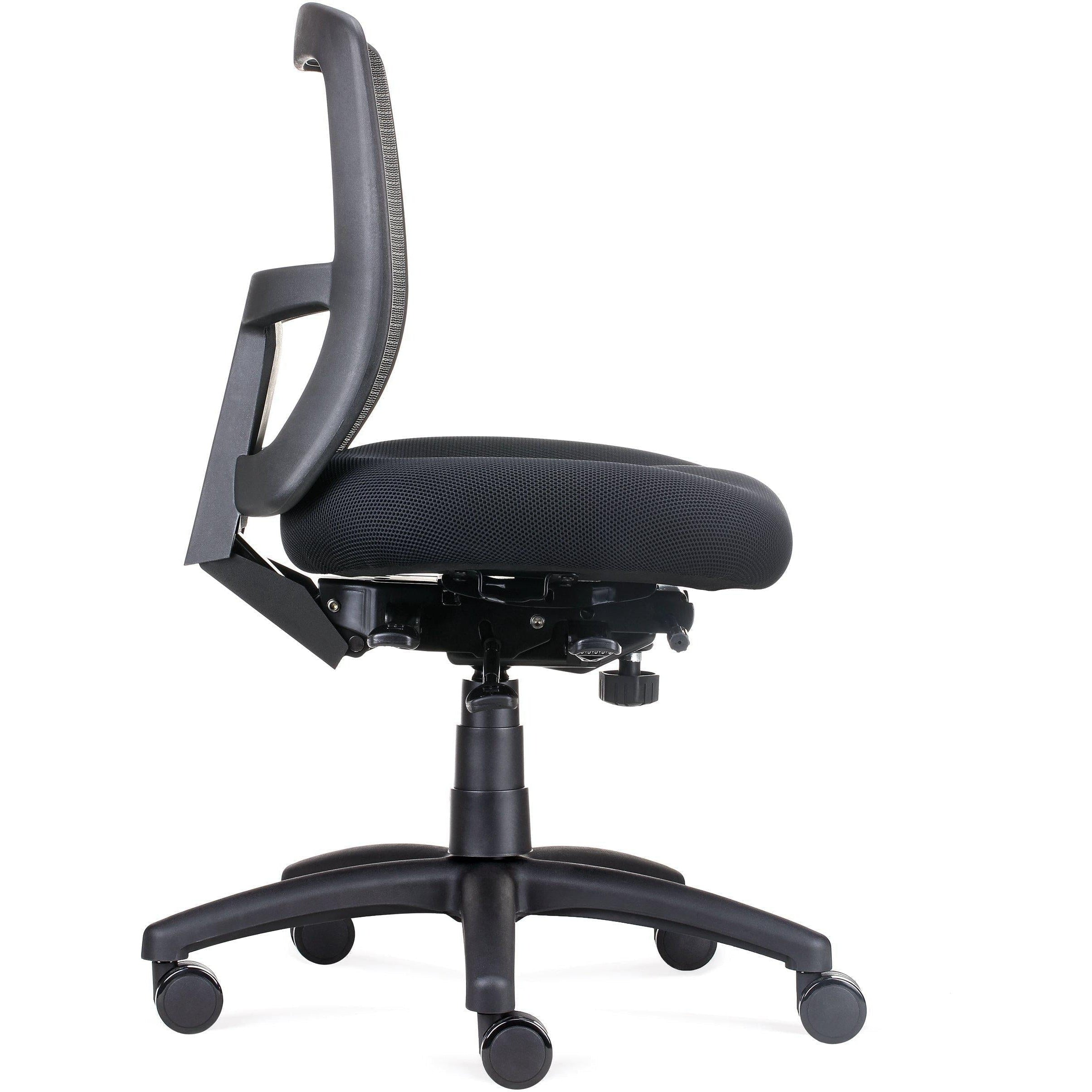 Ergonomic Office Chairs, Ergo Task Chair, Heavy Duty, Big Boy ...