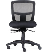 Ergo Task Chair