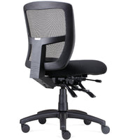 Ergo Task Chair