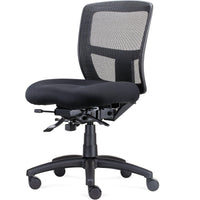Ergo Task Chair