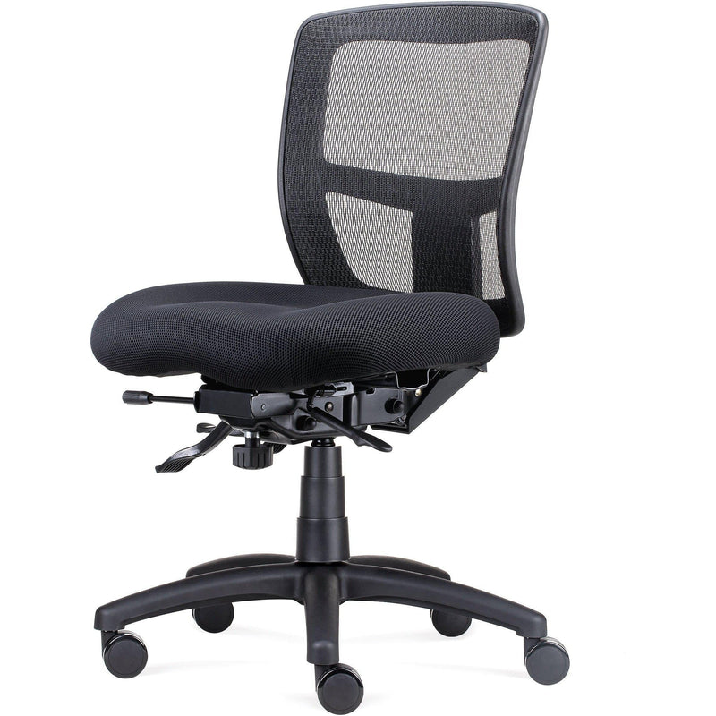 Ergo Task Chair