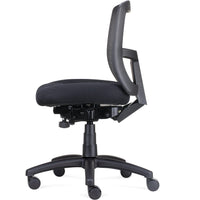 Ergo Task Chair