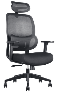 Elvaro Ergo Mesh Office Chair