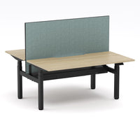 Montana Electric Standing 2-Person Double-sided Desk Workstation - With Sage Green Elite25 Screen (3 Stages)