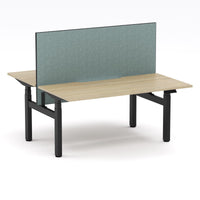 Montana Electric Standing 2-Person Double-sided Desk Workstation - With Sage Green Elite25 Screen (3 Stages)