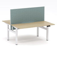 Montana Electric Standing 2-Person Double-sided Desk Workstation - With Sage Green Elite25 Screen (3 Stages)