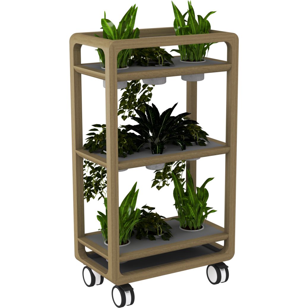 Plants Box Rover Rover Mobile Planter