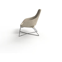 Elaro Lounge Chair