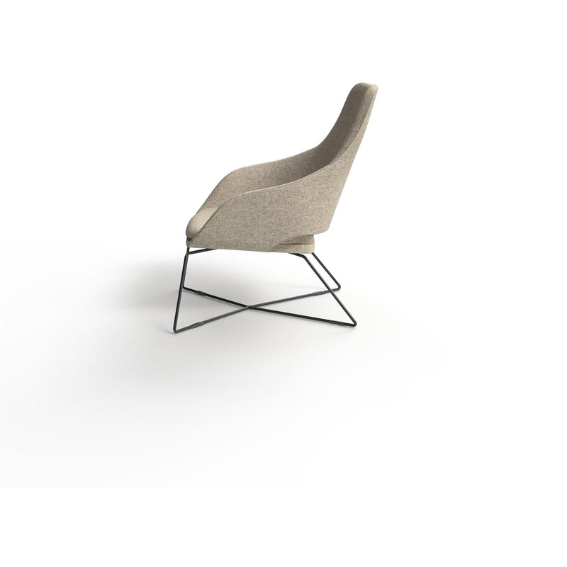 Elaro Lounge Chair