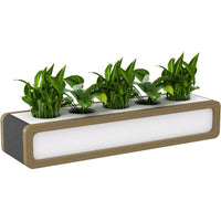 Rover Mobile Planter Box