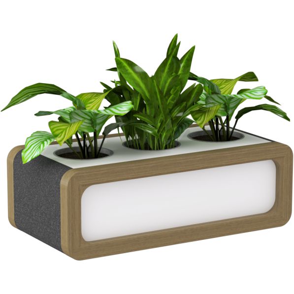 Plants Box Rover Rover Mobile Planter Box