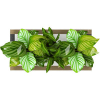 Rover Mobile Planter Box