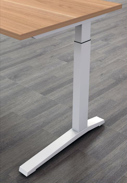 Casnan Potenza Electric Height Adjustable Desk