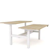 Dynamo Plus - Electric Height Adjustable Double Sided Workstation