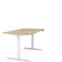 Dynamo Plus - Electric Height Adjustable Single Workstation