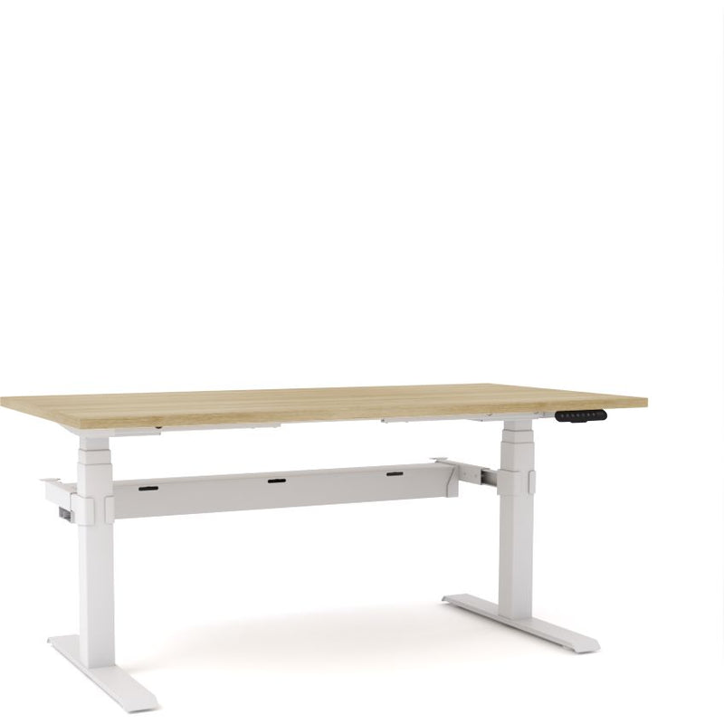 Dynamo Plus - Electric Height Adjustable Single Workstation