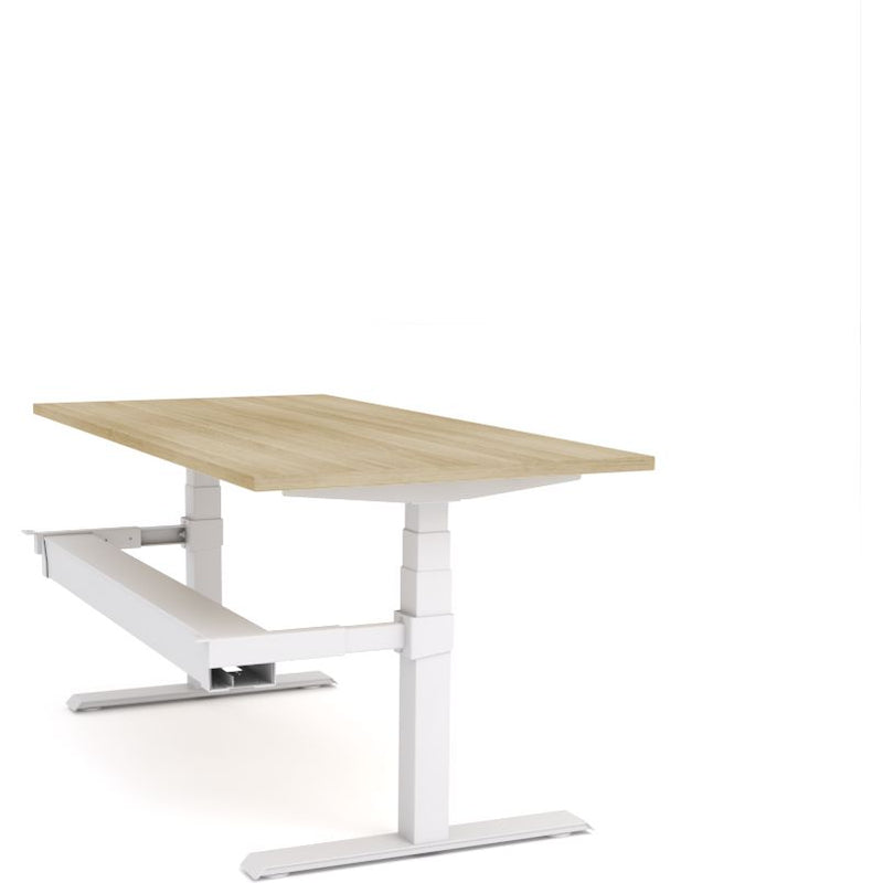 Dynamo Plus - Electric Height Adjustable Single Workstation