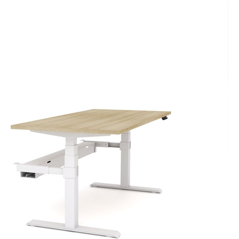Dynamo Plus - Electric Height Adjustable Single Workstation