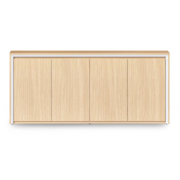 Casa Swing Door Cupboard