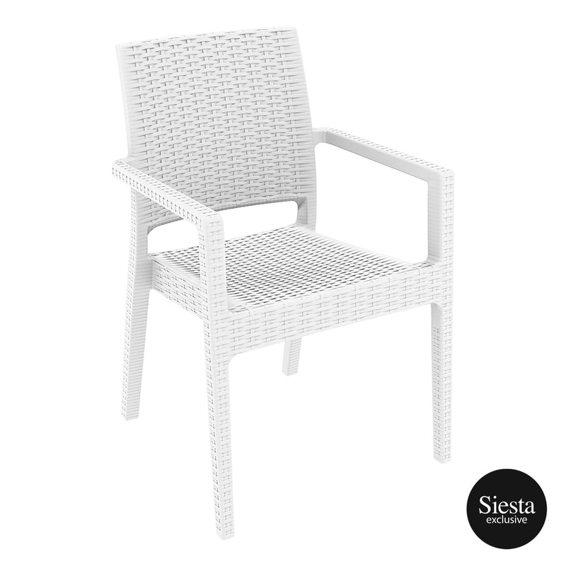 Ibiza Arm Chair