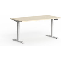 Montana Electric Standing Straight Workstation (3 Stages)