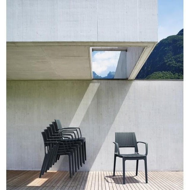 Capri Arm Chair